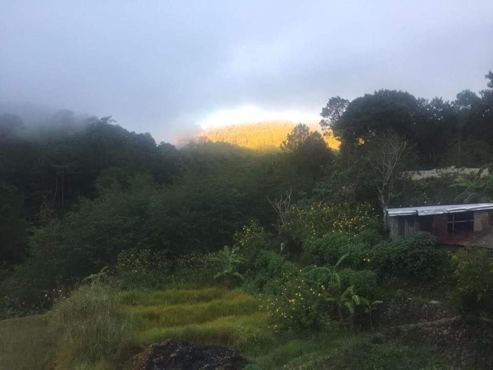 Banga-An Bnb And Coffee House Sagada Extérieur photo